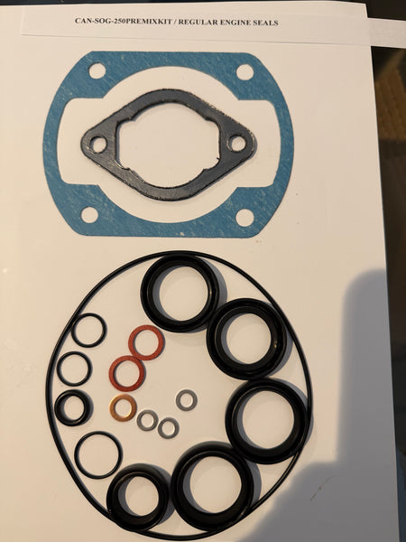 Can Am 250 Pre-Mix MX, Qualifier, Rotax Engine Seals (Regular or Viton), Gaskets and O'Rings Kit - Air Cooled Only