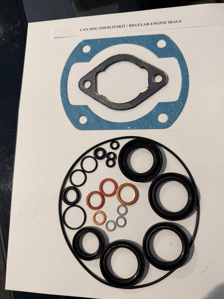 Can Am 250 Oil Injection MX/TNT/QUAL Rotax Engine Seals (regular or VITON), Gaskets and O'Ring Kit, Air Cooled Only