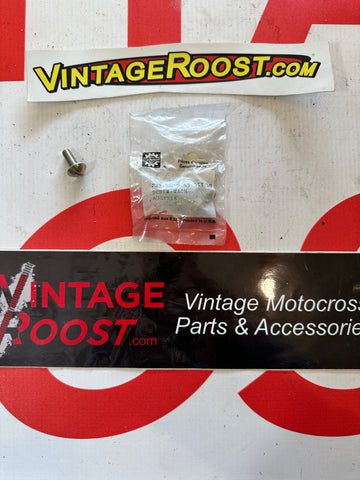 Can Am, Side Panel Screws,  NOS Can Am, Side Panel Screws,  NOS