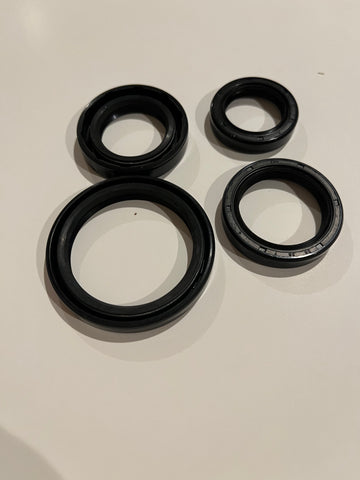 Can Am 486/500CC  Rotax, 2 Stroke Engine Seals