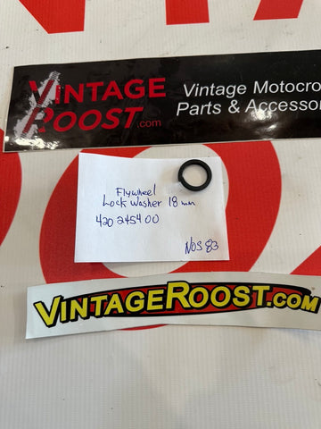 Can Am, Flywheel Lock Washer, 18 mm,  NOS, NEW!