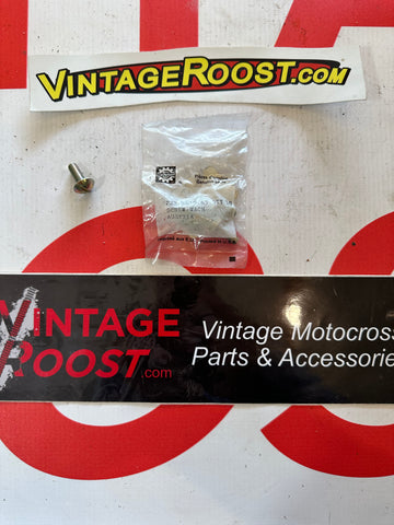 Can Am, Side Panel Screws,  NOS