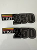 Can Am, 1977, TNT 175, 250, Badge, Reproduction - NEW!